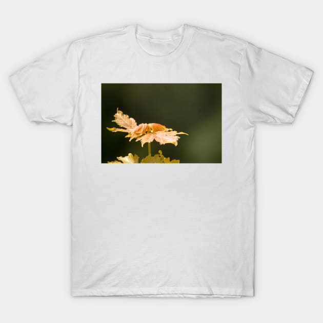 gli maple leaf T-Shirt by pcfyi